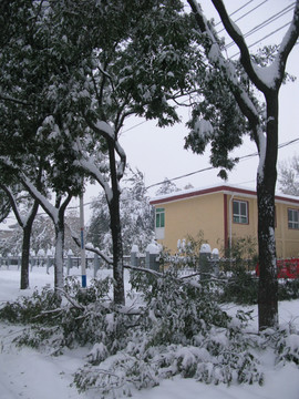 雪景