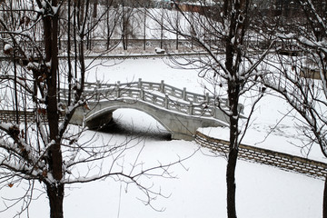 公园雪景