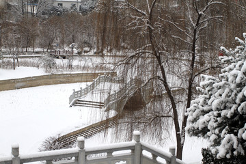 公园雪景