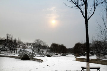 公园雪景