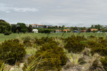 风景