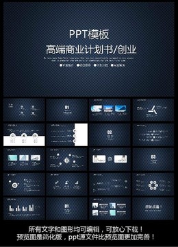 商業(yè)計劃書PPT模板