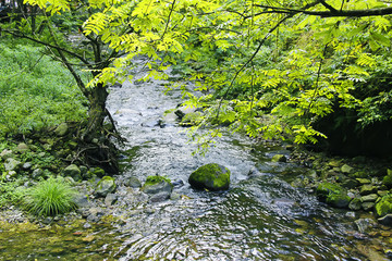 山水风景画