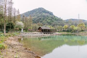 杭州八卦田