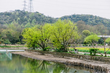 杭州八卦田