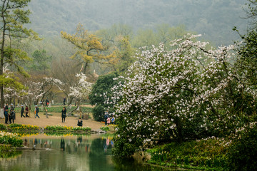 太子湾公园