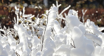 冰雪