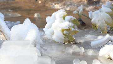 冰雪