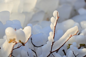 阳光下的冰雪