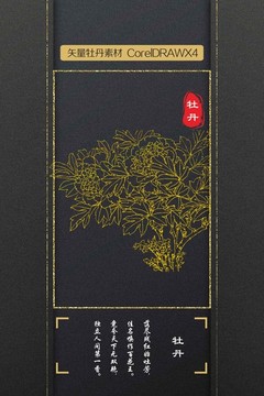 牡丹