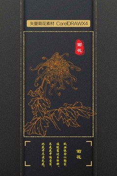 菊花