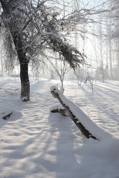 雪景