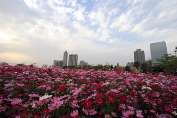 广州花城广场