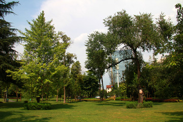 成都城市风景