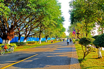 公园道路风景