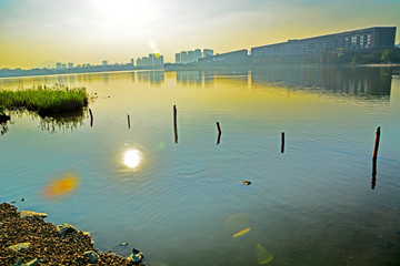 松山湖风景