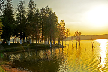 东莞松山湖黄昏风景