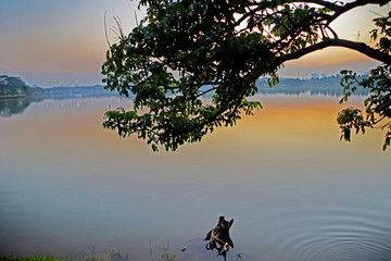 松山湖黄昏风景