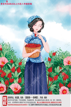 洛神花茶圖片