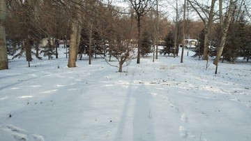 雪景