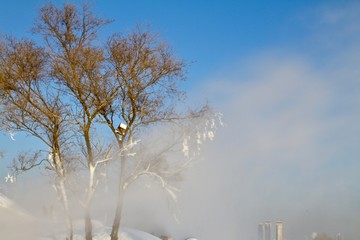 树冰飞雪