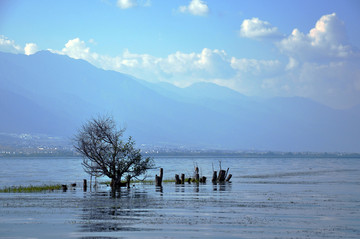 洱海