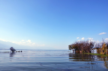 洱海岸