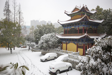 宝通寺雪景