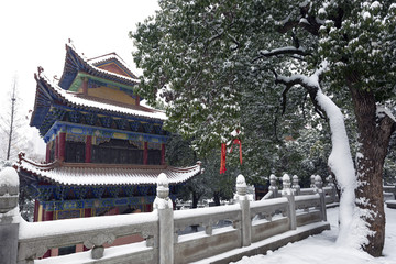 宝通寺雪景