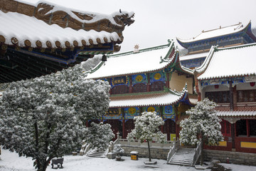 宝通寺雪景