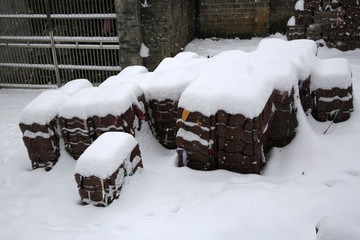 雪地风光