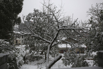 美丽的雪景