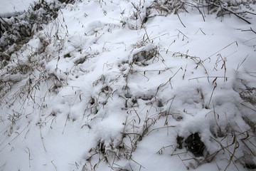 雪地风景