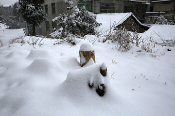 美丽的雪景