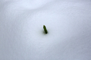 美丽的雪景