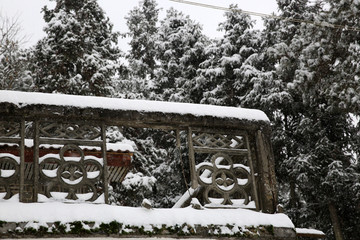 美丽的雪景