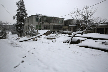 美丽的雪景