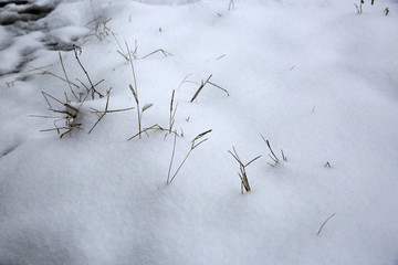 美丽的雪景