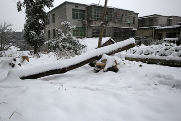 美丽的雪景