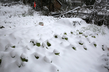 美丽的雪景