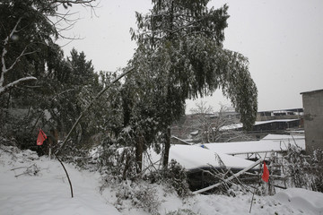 美丽的雪景