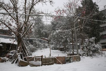 雪地