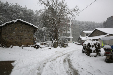 美丽的雪景