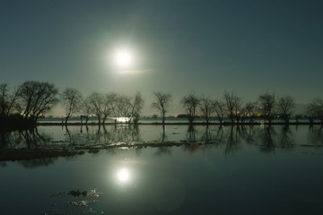 滇池湿地月夜