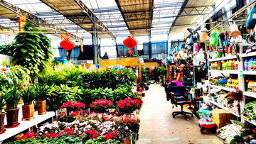 天津花卉市场