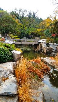 云龙山风景区