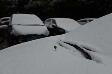 雪后停车场