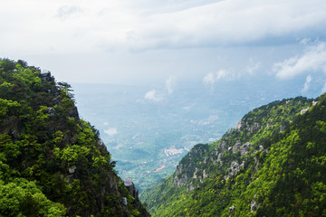 青山