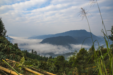 高山