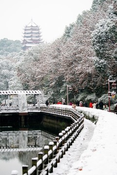 公园雪景